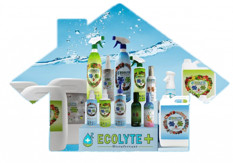 The Role of Food and the Impact of Disinfectant Products