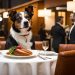 Pet-friendly Hotel Chains