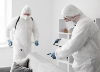 Understanding the Health Risks Associated with Mold: Why Inspections are Crucial