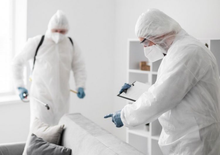 Understanding the Health Risks Associated with Mold: Why Inspections are Crucial