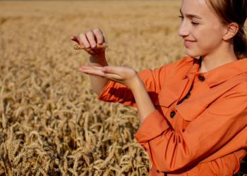 Types of Wheat and Their Nutritional Values