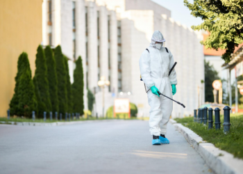 Effective Ant Pest Control Solutions for a Pest-Free Home