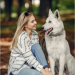 The majestic Siberian Husky: characteristics, care, and training