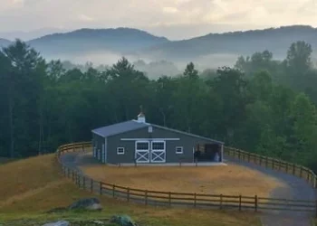 Essential Guide to Building Low Profile Horse Barns: