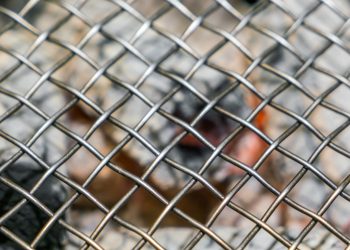 Benefits of Using Stainless Steel Zoo Mesh