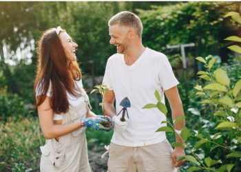 Embracing the Outdoors: Essential Tips for Maintaining a Lush and Healthy Garden