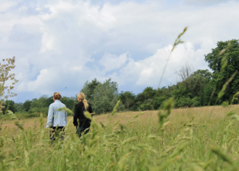 Physical Activity and Mental Wellbeing