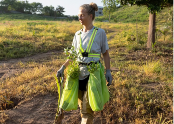 Eco-Friendly Elegance: How Savannah Leads the Green Movement in 2024