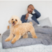 The Ultimate Guide to Choosing the Perfect Dog Bed