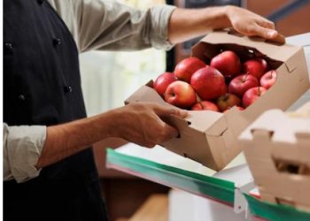 Frozen Meat Exporters Suppliers in Brazil