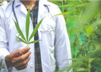 Evolution of the Cannabis Industry: A Transformative Journey from 2014 to 2019