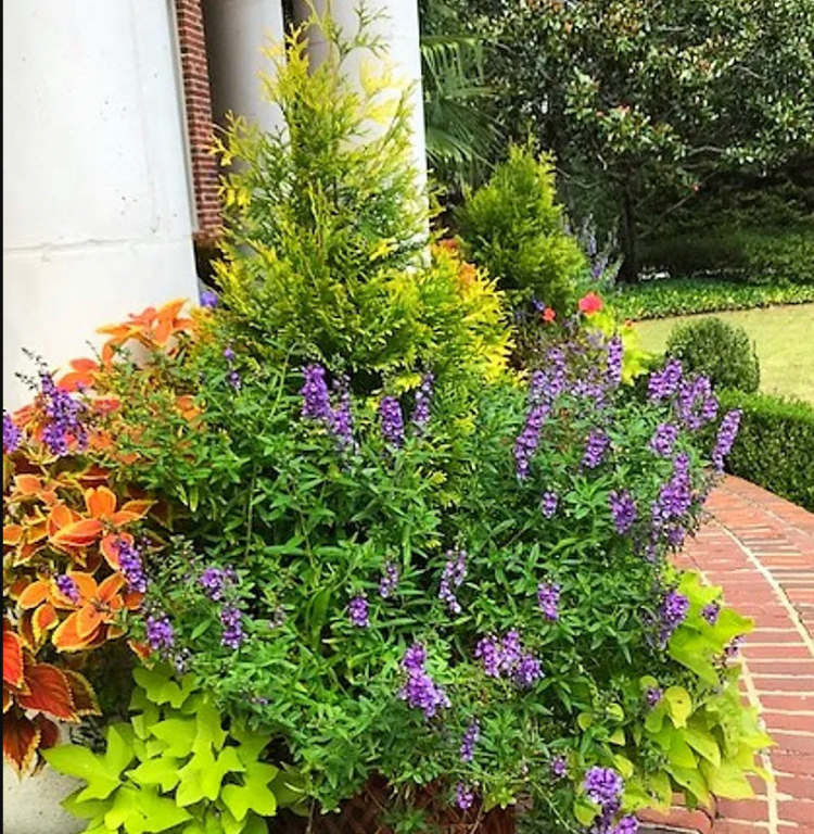 Transforming Smyrna Gardens: Spring Clean-Up and Beautification Strategies