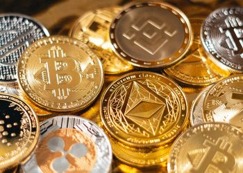 Instant Payment Notifications: Streamlining Your Crypto Transactions with PTPShopy