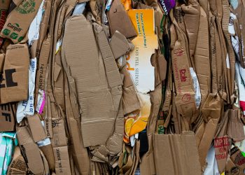Simplify Your Waste Management with Cardboard Baler Rental