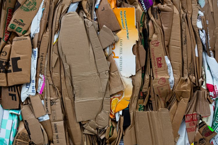 Simplify Your Waste Management with Cardboard Baler Rental