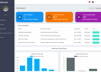Empowering Business Insights: The Comprehensive Data Solutions of Webnyze