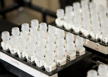 Unveiling Synthetic Urine: The Science, Uses, and Legality Explained