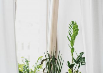 Improving Indoor Air Quality with Air Purifier Installation