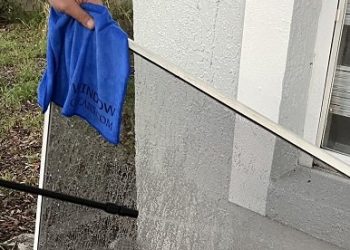 Every Home Has It: Tackling Mold In Your Window Tracks