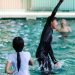 Children’s Swimming Lessons at Sengkang Swimming Complex by Blue Whale Tail Swim School