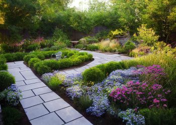 Elevating Your Haven: Landscaping Secrets from a Pro