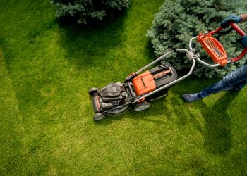 Enhancing Your Outdoor Space: The Art and Science of Landscaping