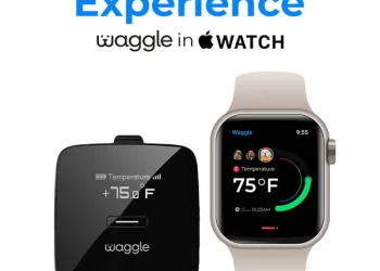 Maintaining Pets’ Safety Throughout the Journey