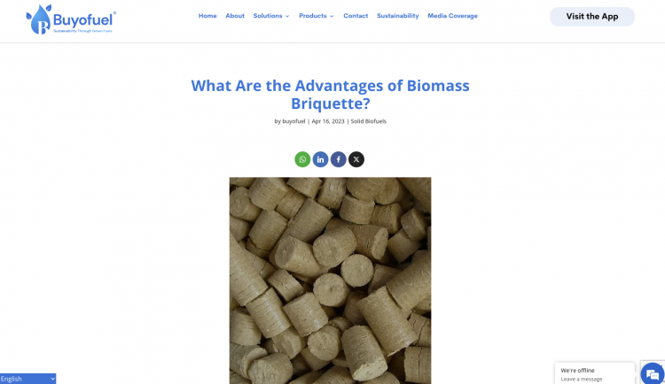 Top 5 Environmental Benefits of Biomass Briquettes
