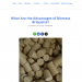 Top 5 Environmental Benefits of Biomass Briquettes