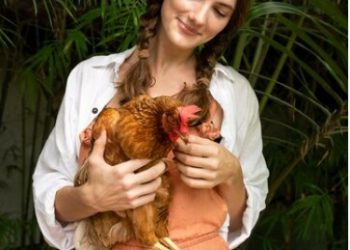 Herbal Supplements: A Natural Boost for Backyard Chickens