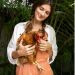 Herbal Supplements: A Natural Boost for Backyard Chickens