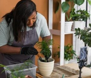 Creative Uses for Short Term Plant Hire and Plant Rental