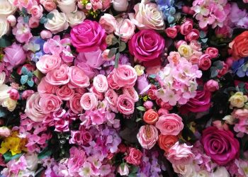 Making Moments Blossom: Your Local Florist in Mulgrave, Melbourne
