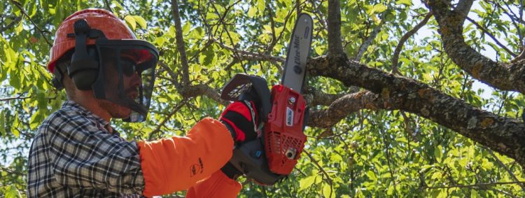 Why Use the Oleomac GST 250 Gas Chainsaw for Pruning: Compelling Reasons
