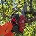 Why Use the Oleomac GST 250 Gas Chainsaw for Pruning: Compelling Reasons