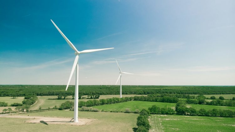 How does a wind turbine generate electricity?