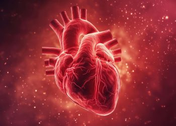 What to Expect During Your Private Echocardiogram: A Step-by-Step Guide