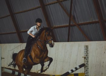 Saddle Up: The Import and Benefits of Horse Ownership with SaddleOnline’s Range of Saddles