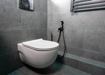 How to Raise Water Level in Toilet Bowl