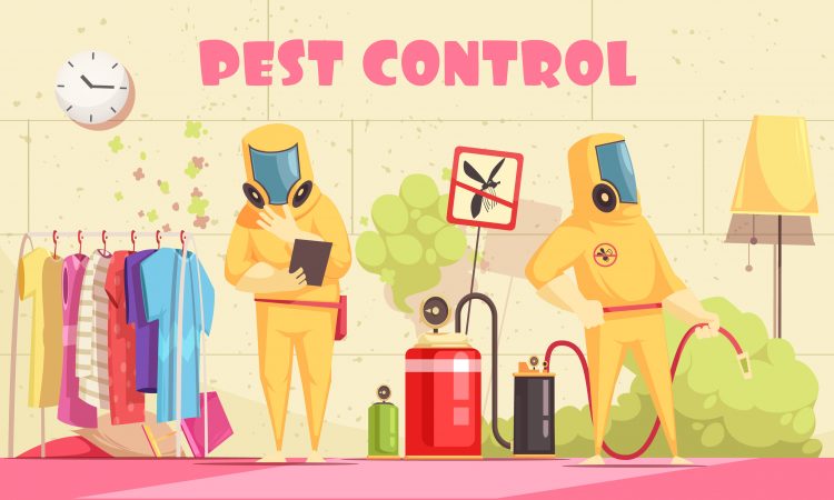 Top Reasons to Hire a Professional Bellevue Pest Control Service