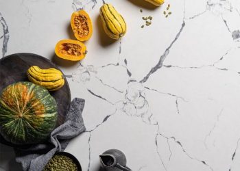 Top Trends in Silestone Quartz Designs for Kitchen Countertops in 2024