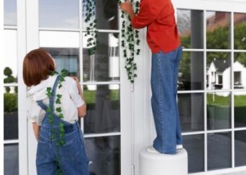 Maximize Your Savings: Replace Your Windows This Summer