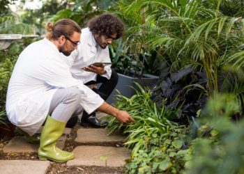 A Guide to Different Types of Hardscape Services for San Jose Homes