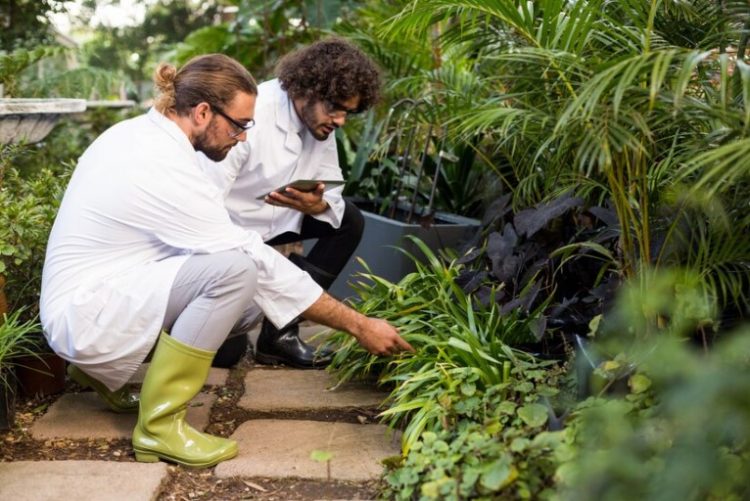 A Guide to Different Types of Hardscape Services for San Jose Homes