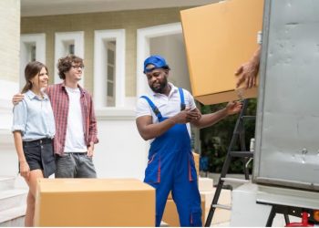 The Ultimate Guide to Choosing Local Movers in Raleigh, NC: Expert Tips and Trusted Solutions