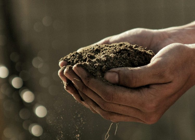 The Importance of Keeping Soil Healthy