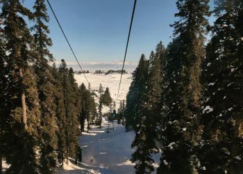 Activity Reservation Software for Zipline and Adventure Parks: Simplifying Operations