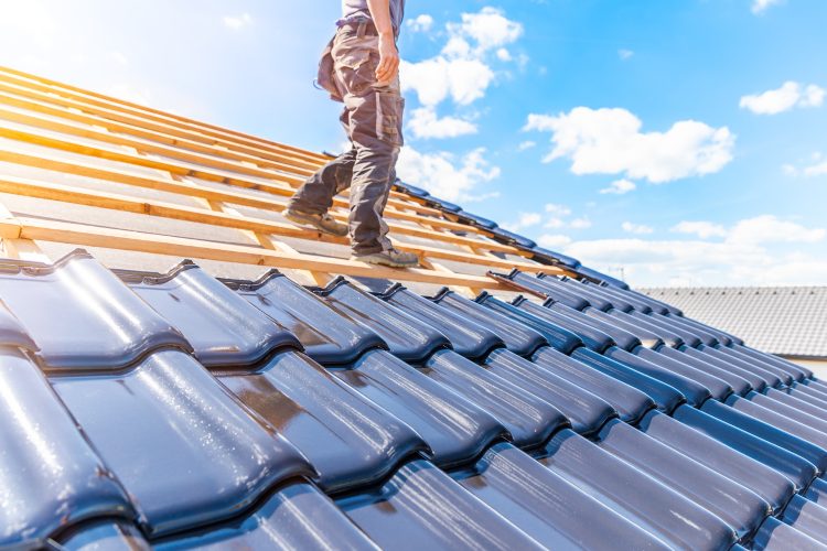 Navigating the World of Professional Roofing Services: Your Shield Against the Elements