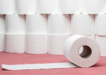 The Best Toilet Paper for Your Plumbing SystemThe Importance of Using the Right Toilet Paper