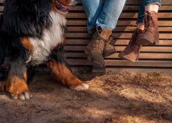 Phoenix’s Premier Dog Poop Clean-Up Service: Pooper Scooper